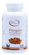 Pangam Vitamin B15 Vegi Kapseln 120 Stück